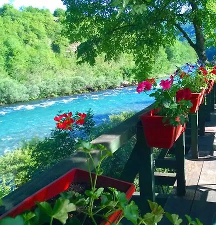 캠프장 Rafting Center 